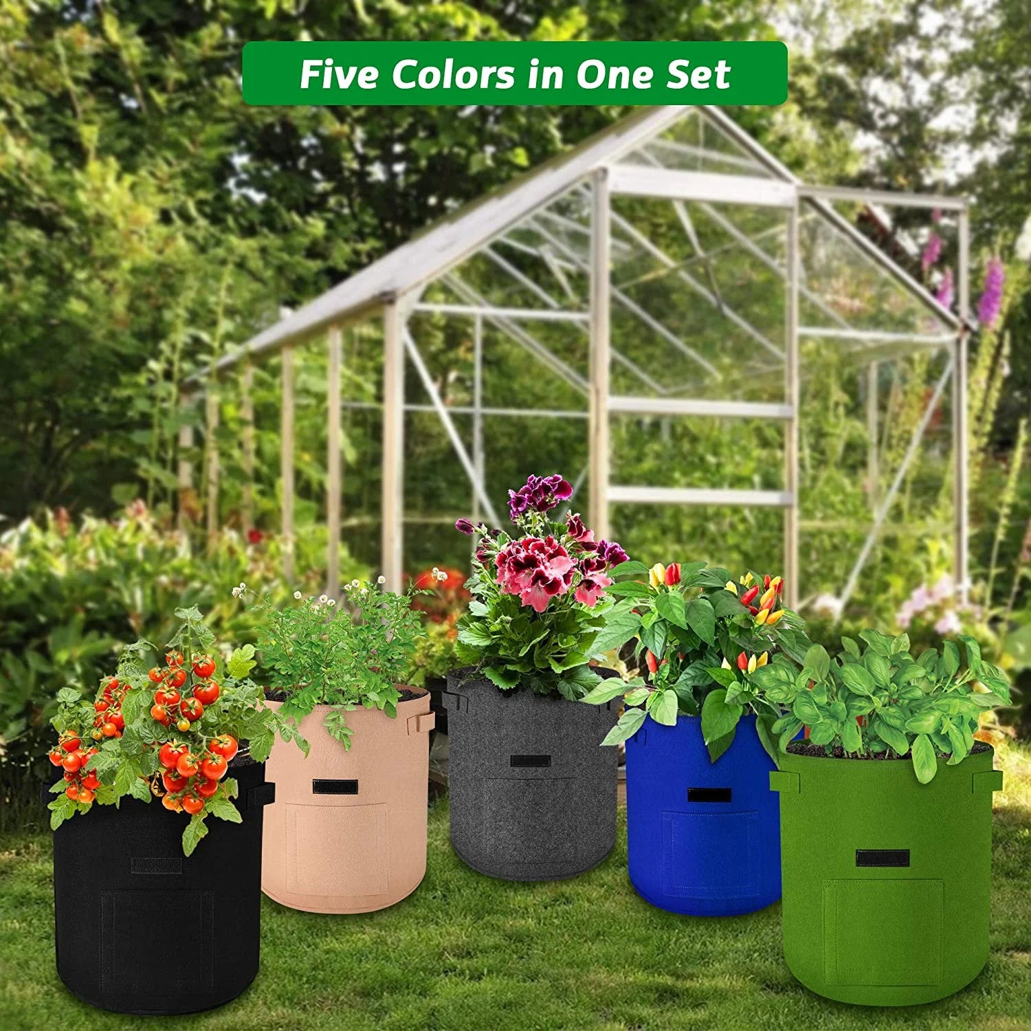 10 Gallon 5 Pack Potato Grow Bags, Campomy Plant Grow Bags Heavy Duty with Flap Handles, Multicolor