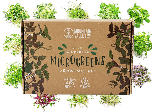 Self Watering Indoor Microgreens Kit - Hydroponic Microgreens Growing Kit for Vegetable Seeds & Herb Seeds - Broccoli, Rambo Radish, Red Tatsoi, China Rose Radish, Spicy Salad Mix, Basic Salad Mix