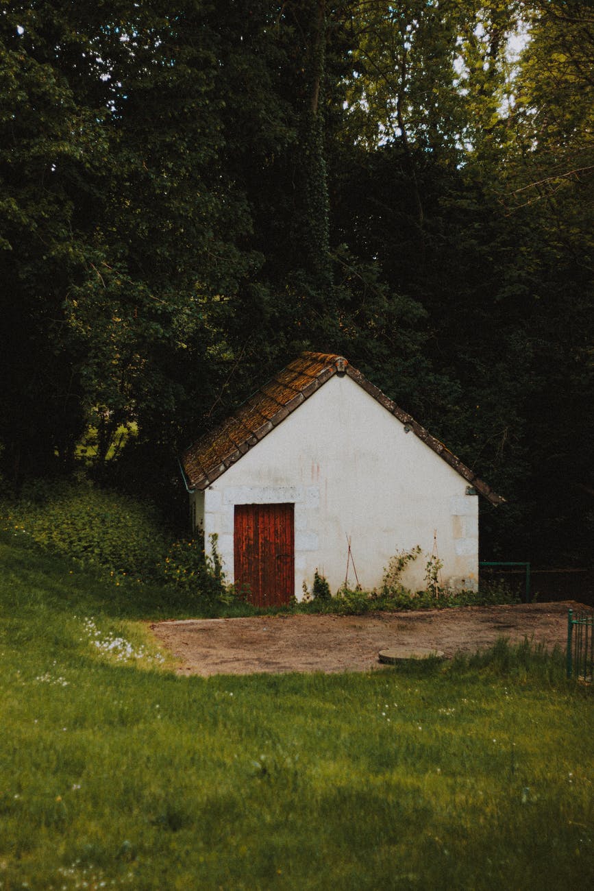 small house near the green trees