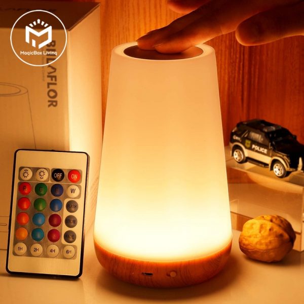 13 Color Changing Night Light RGB Remote Control Touch Dimmable Lamp Portable Table Bedside Lamps USB