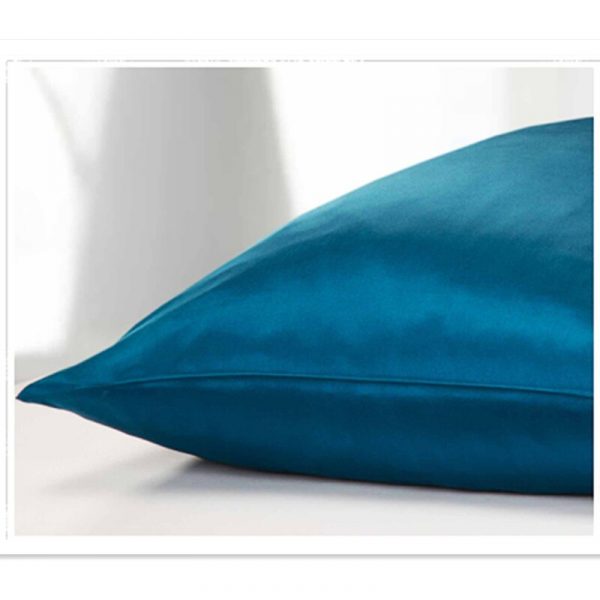 22 Momme Silk Zipper Pillowcase 1pc 100 Nature Mulberry Silk Muticolor Pillow Case For Healthy Standard 2